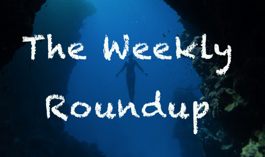 The Weekly Roundup: July 17 - 21