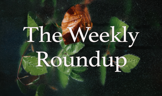 The Weekly Roundup March 18 - 22
