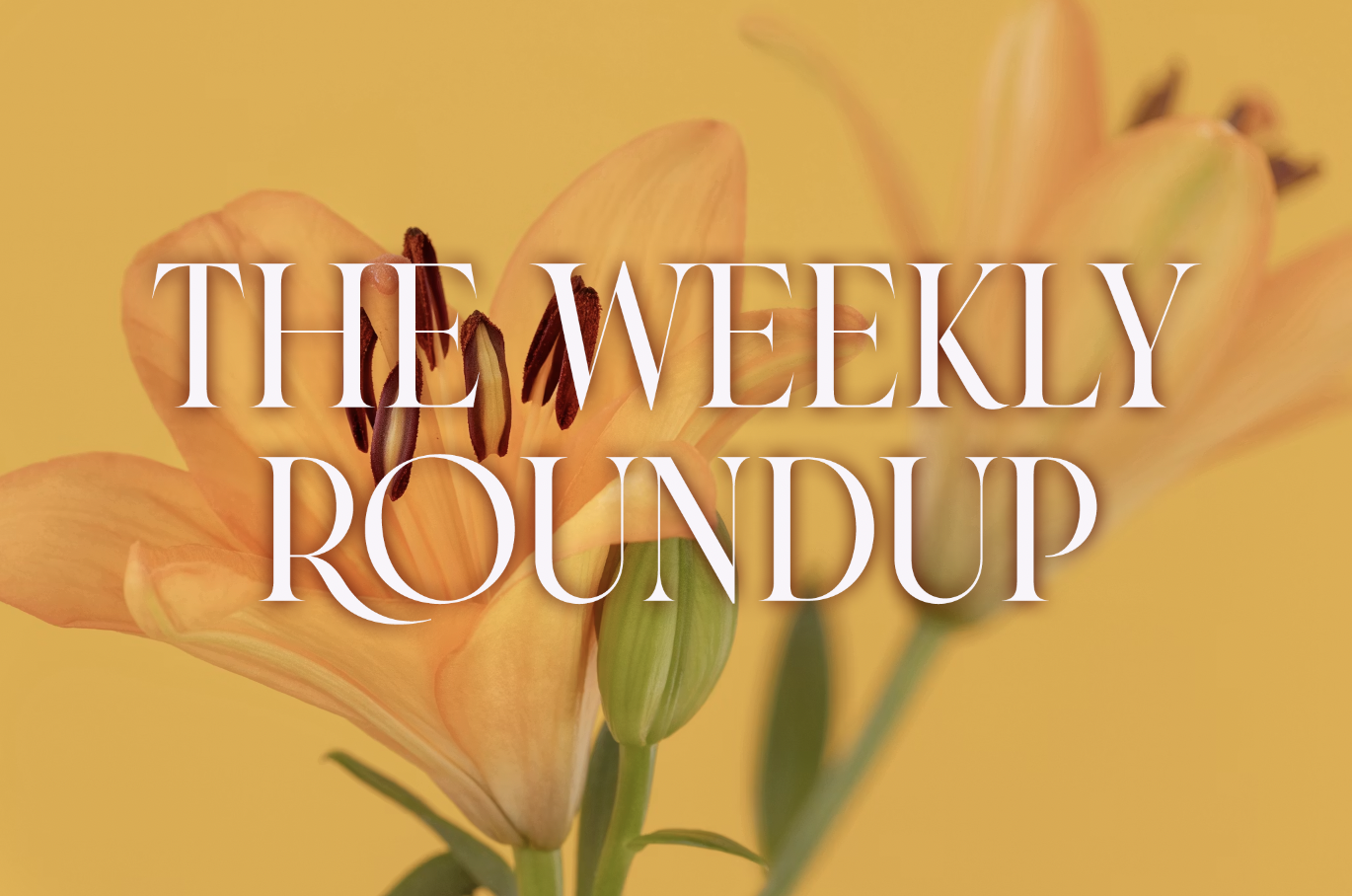 The Weekly Roundup July 20 - 24