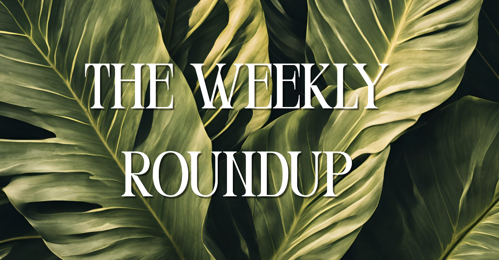 The Weekly Roundup September 7 - 11