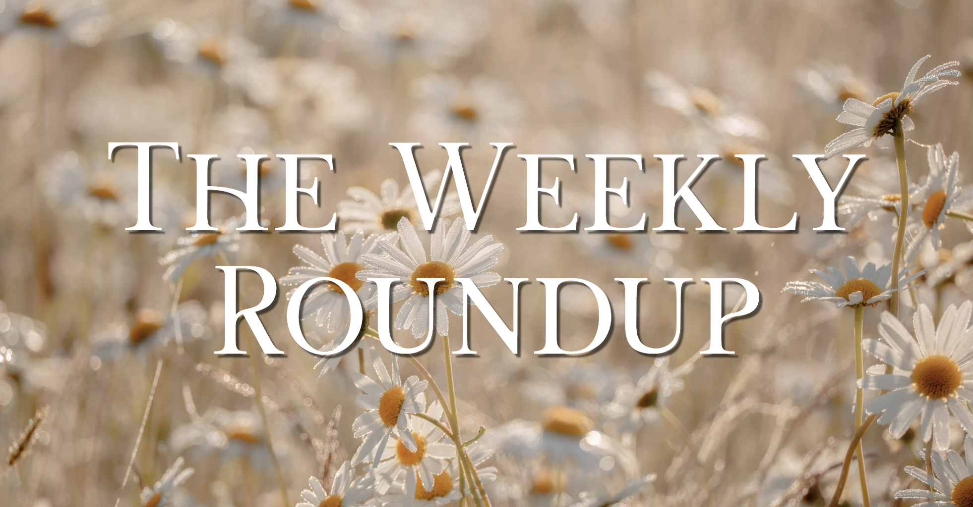 The Weekly Roundup September 28 - October 2