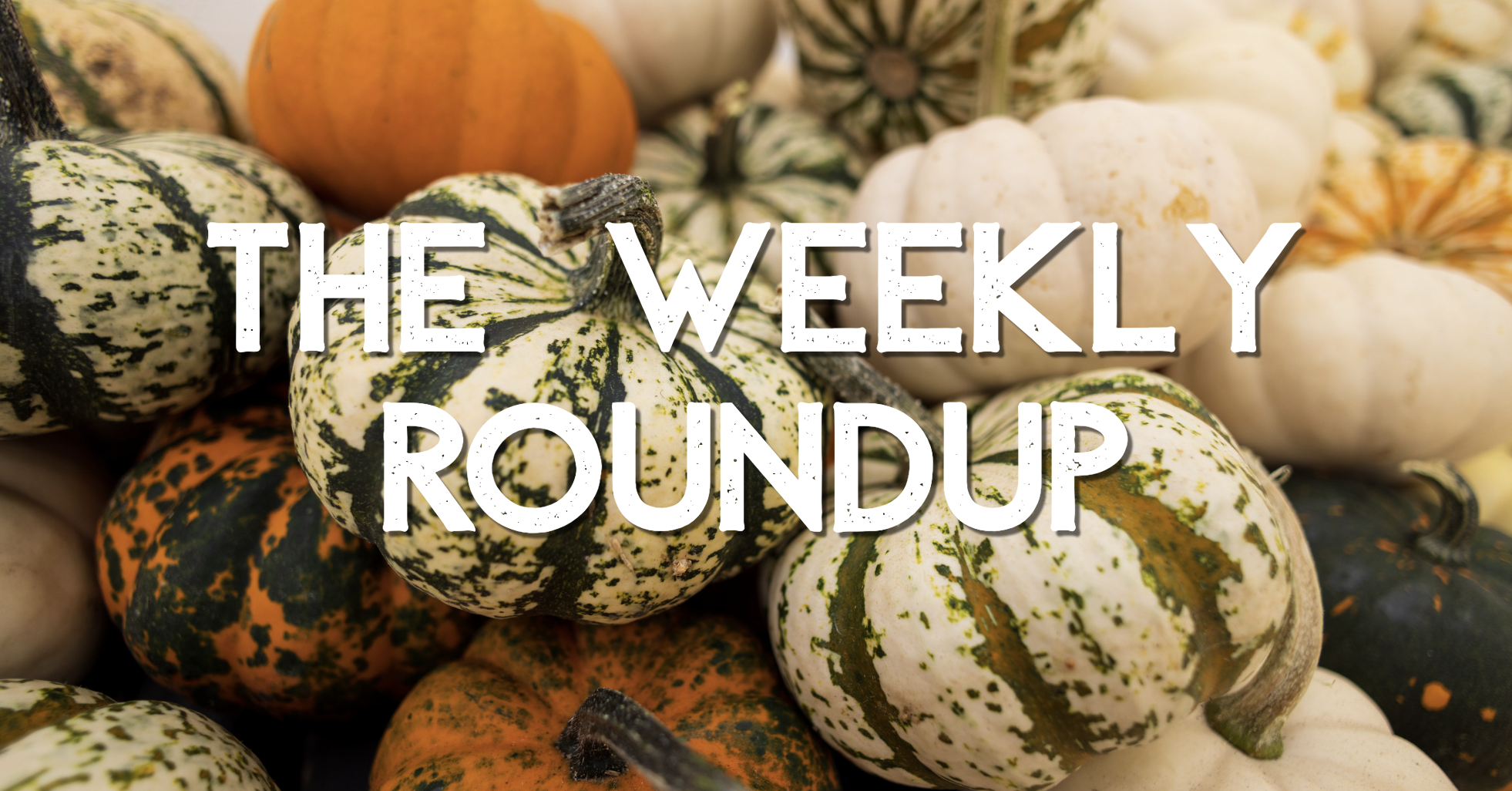 The Weekly Roundup October 5 - 9