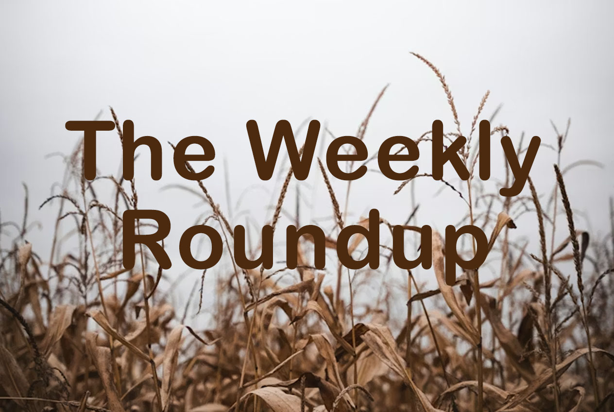 The Weekly Roundup February 23 - 27