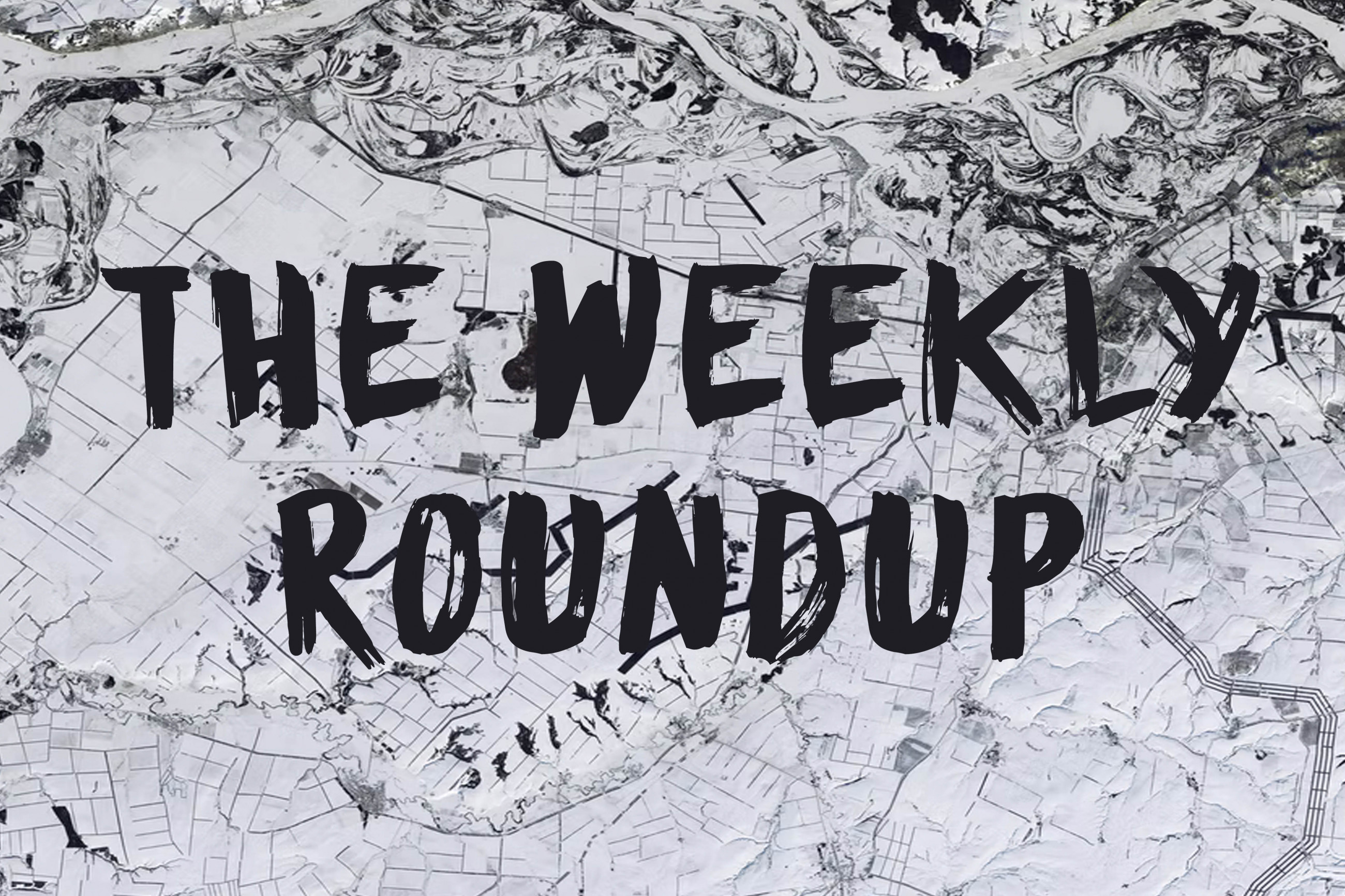 The Weekly Roundup February 21 - 25