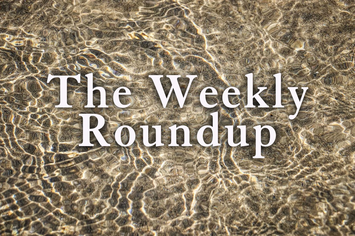 The Weekly Roundup July 13 - 17