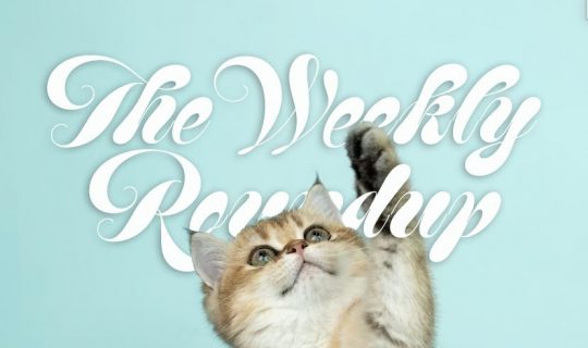 The Weekly Roundup June 29 - July 3
