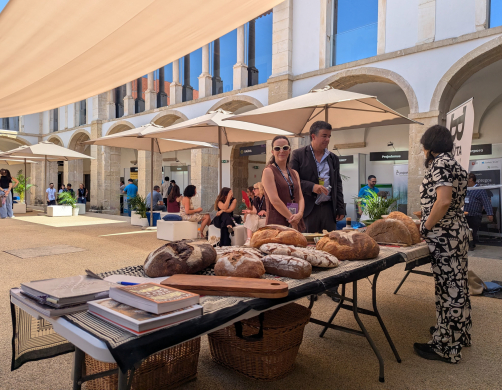 Coimbra Invest 16