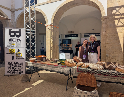  Coimbra Invest 5