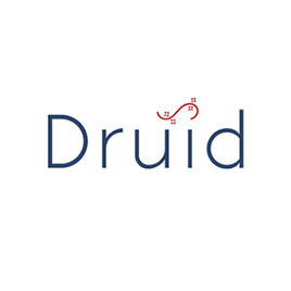 Druid Sport