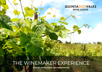 The Winemaker Experience