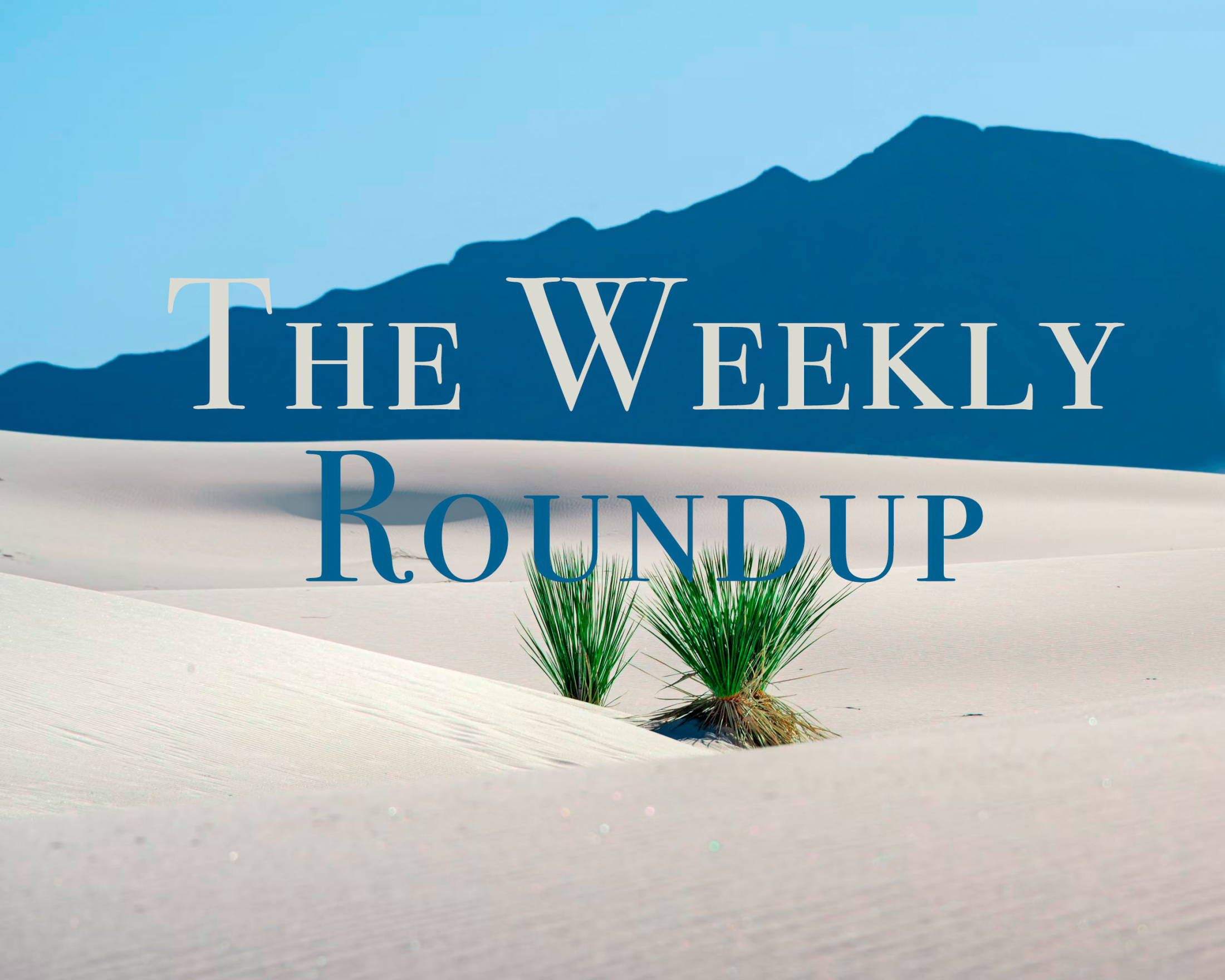 The Weekly Roundup June 24 - 28