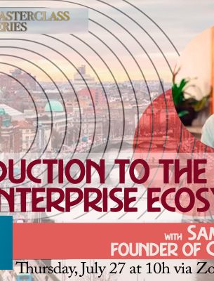 Introduction to the Irish Enterprise Ecosystem