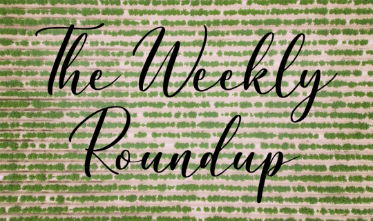 The Weekly Roundup July 10 - 14