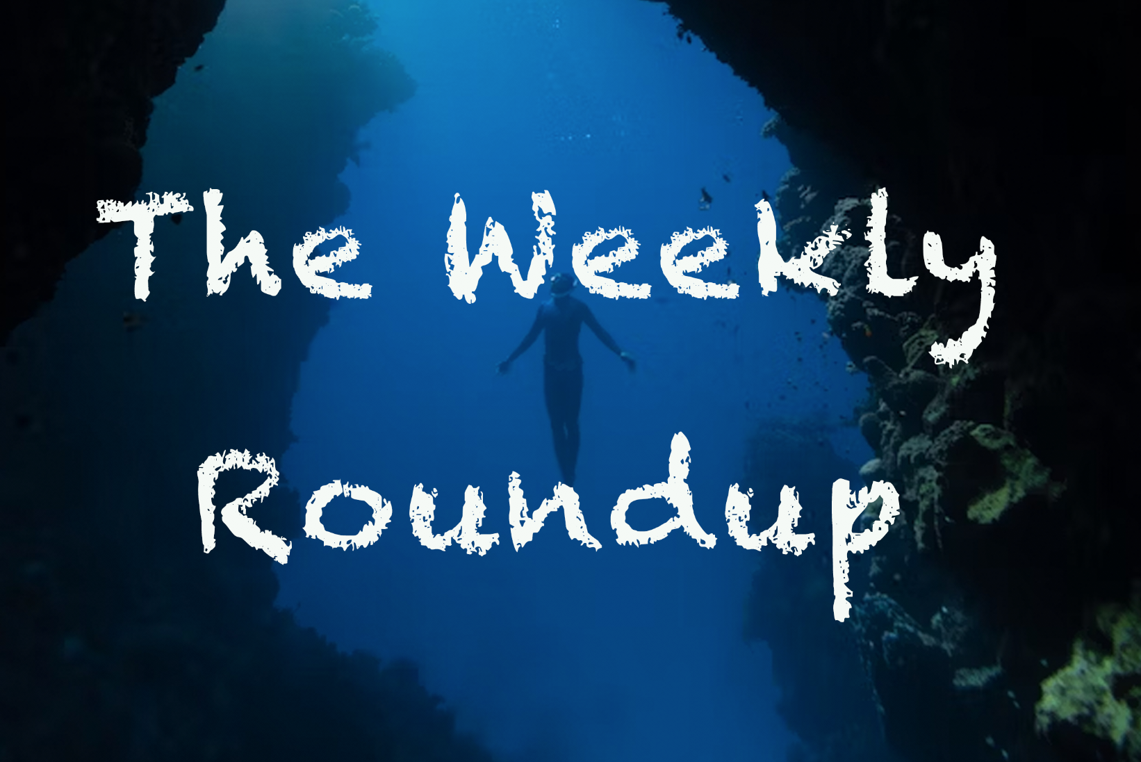 The Weekly Roundup: July 17 - 21
