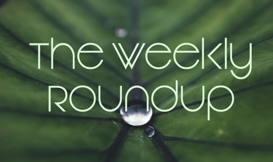 The Weekly Roundup: July 24 - 28