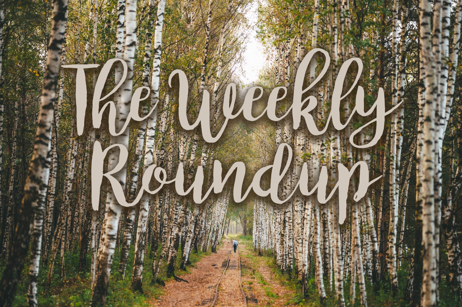 The Weekly Roundup: September 25 - 29