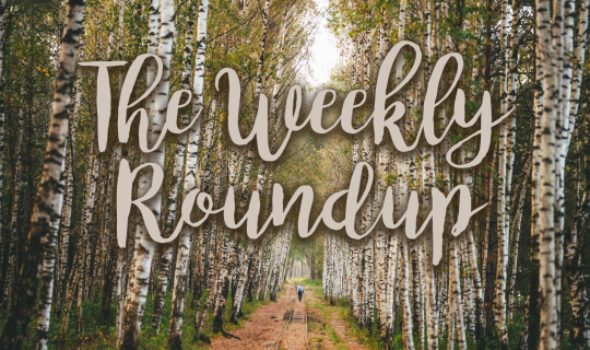 The Weekly Roundup Sept 25 - 29