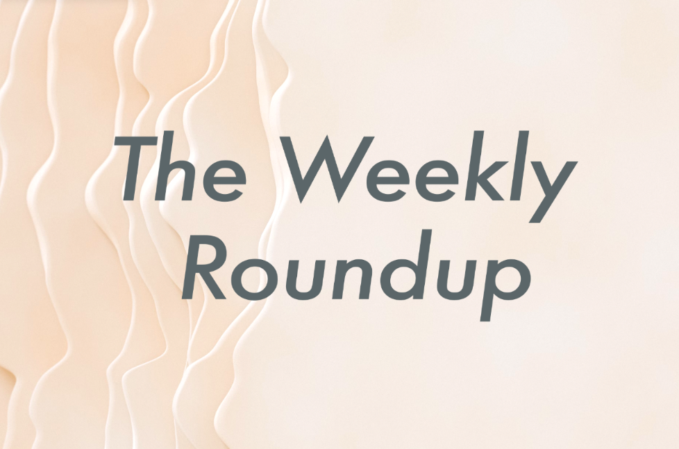 The Weekly Roundup November 13 - 17
