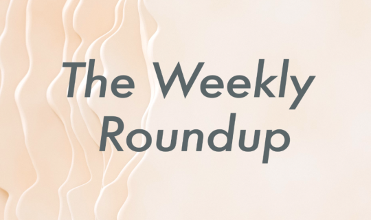 The Weekly Roundup November 13 - 17