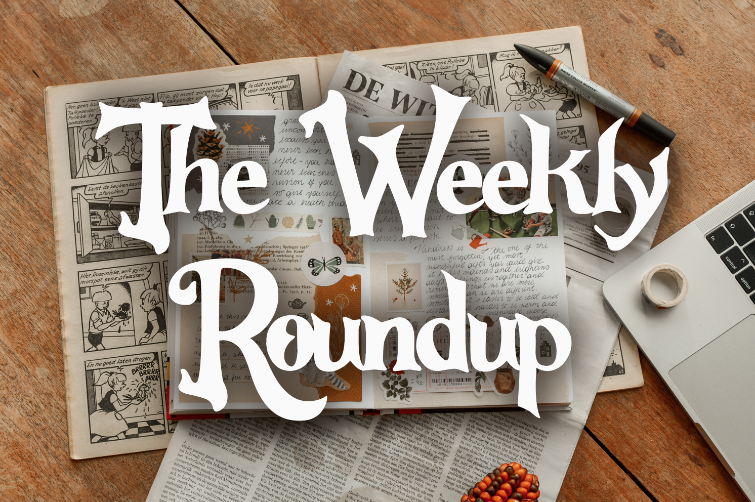 The Weekly Roundup November 20 - 24