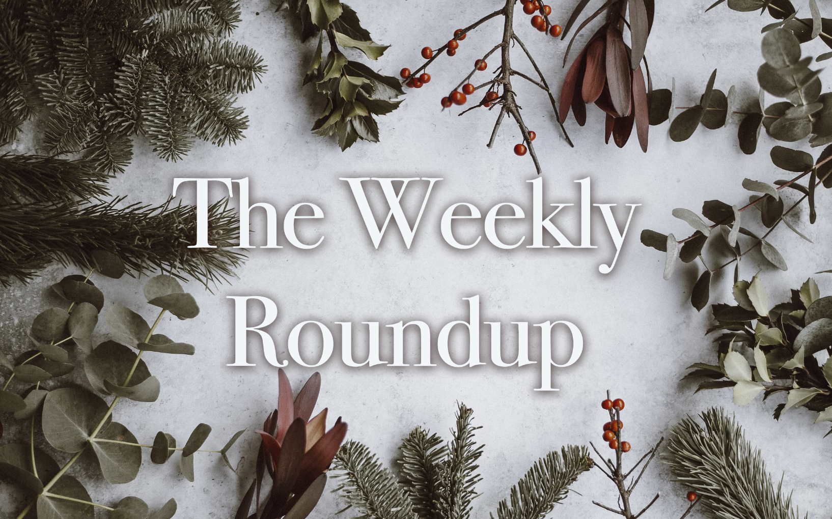 The Weekly Roundup December 11 - 15