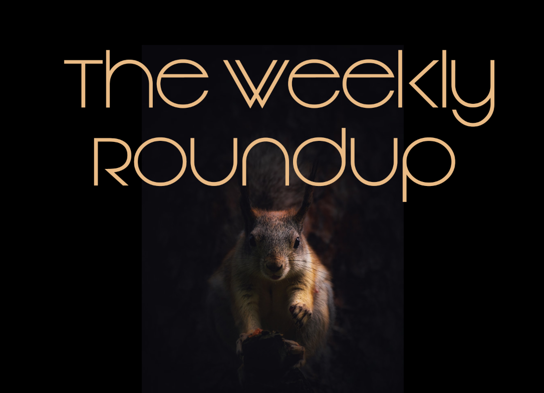 The Weekly Roundup May 12 - 17