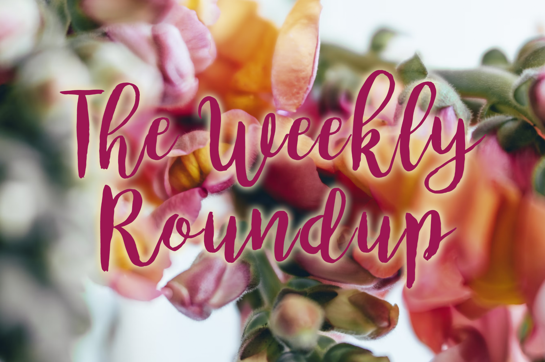 The Weekly Roundup June 3 - 7