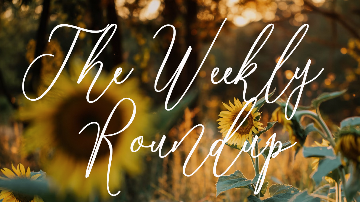The Weekly Roundup June 10 - 14