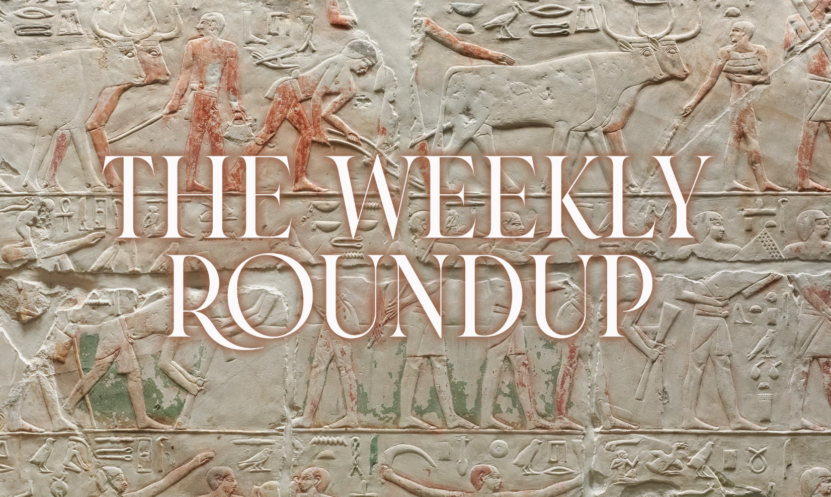 The Weekly Roundup: June 17 - 21