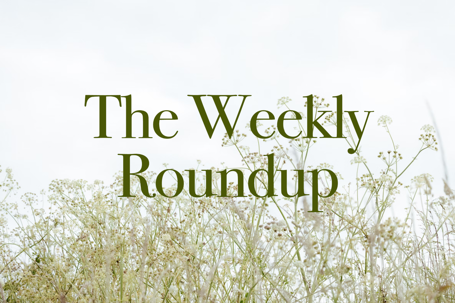 The Weekly Roundup July 8 - 12
