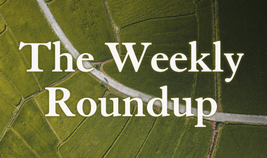 The Weekly Roundup June 2 - 6