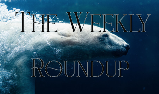 The Weekly Roundup: July 7 - 11