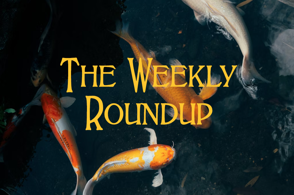 The Weekly Roundup Nov 3 - 7