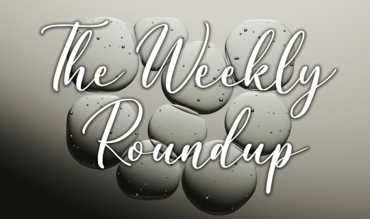 The Weekly Roundup November 17 - 21