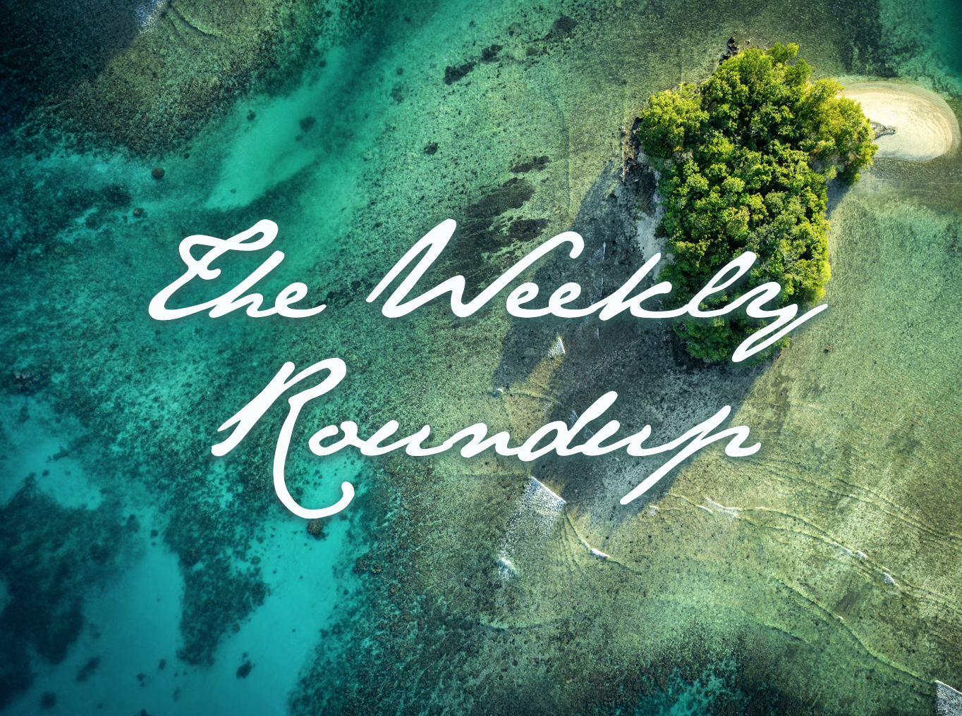 The Weekly Roundup Jan 12 - 16