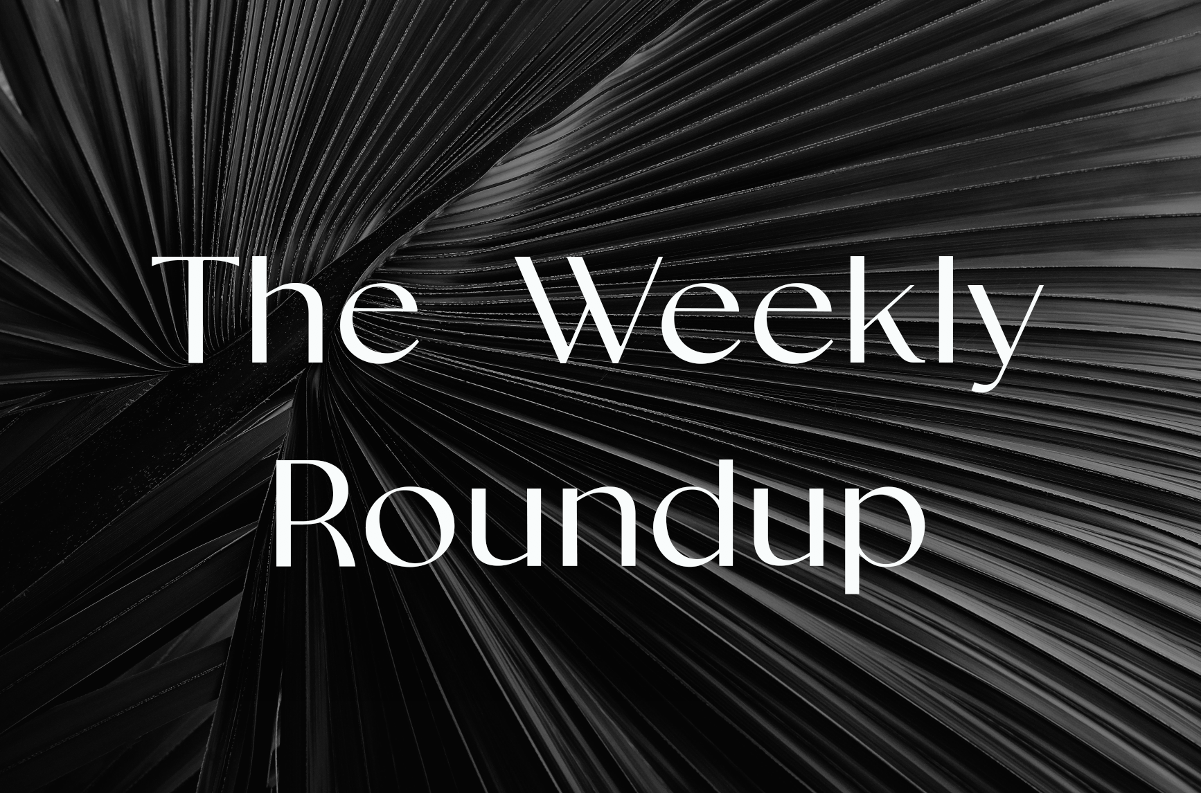 The Weekly Roundup February 9 - 13