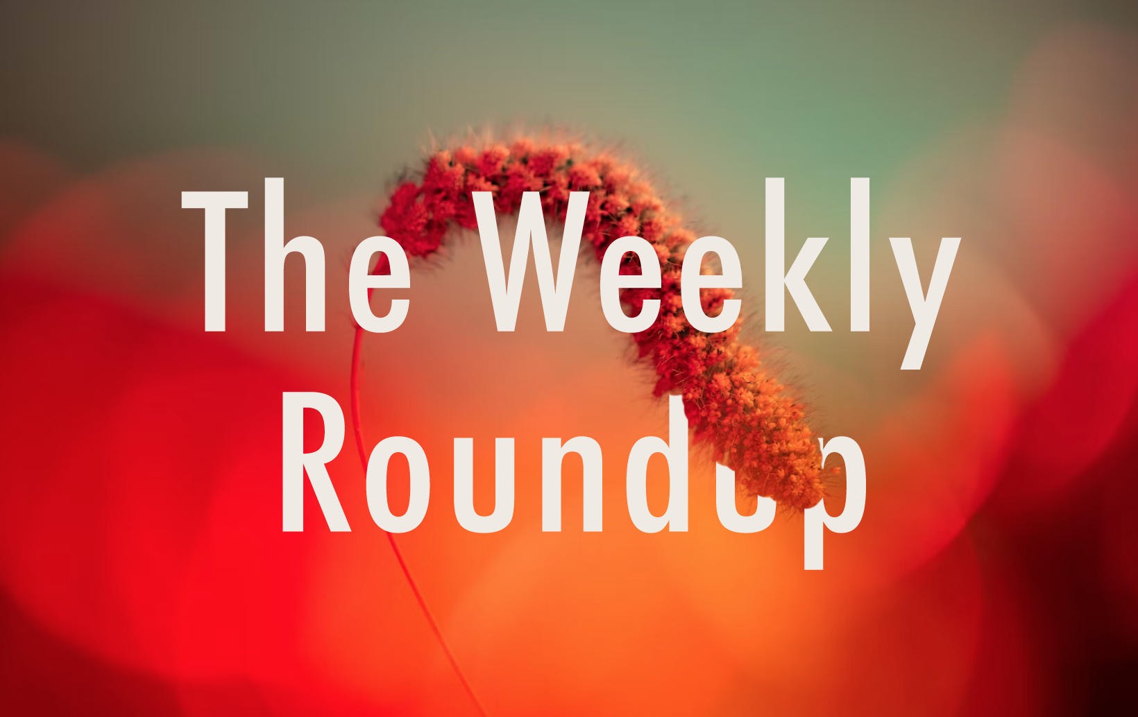 The Weekly Roundup March 2 - 6