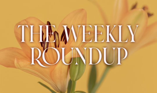 The Weekly Roundup July 20 - 24