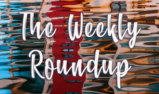 The Weekly Roundup October 24 - 28