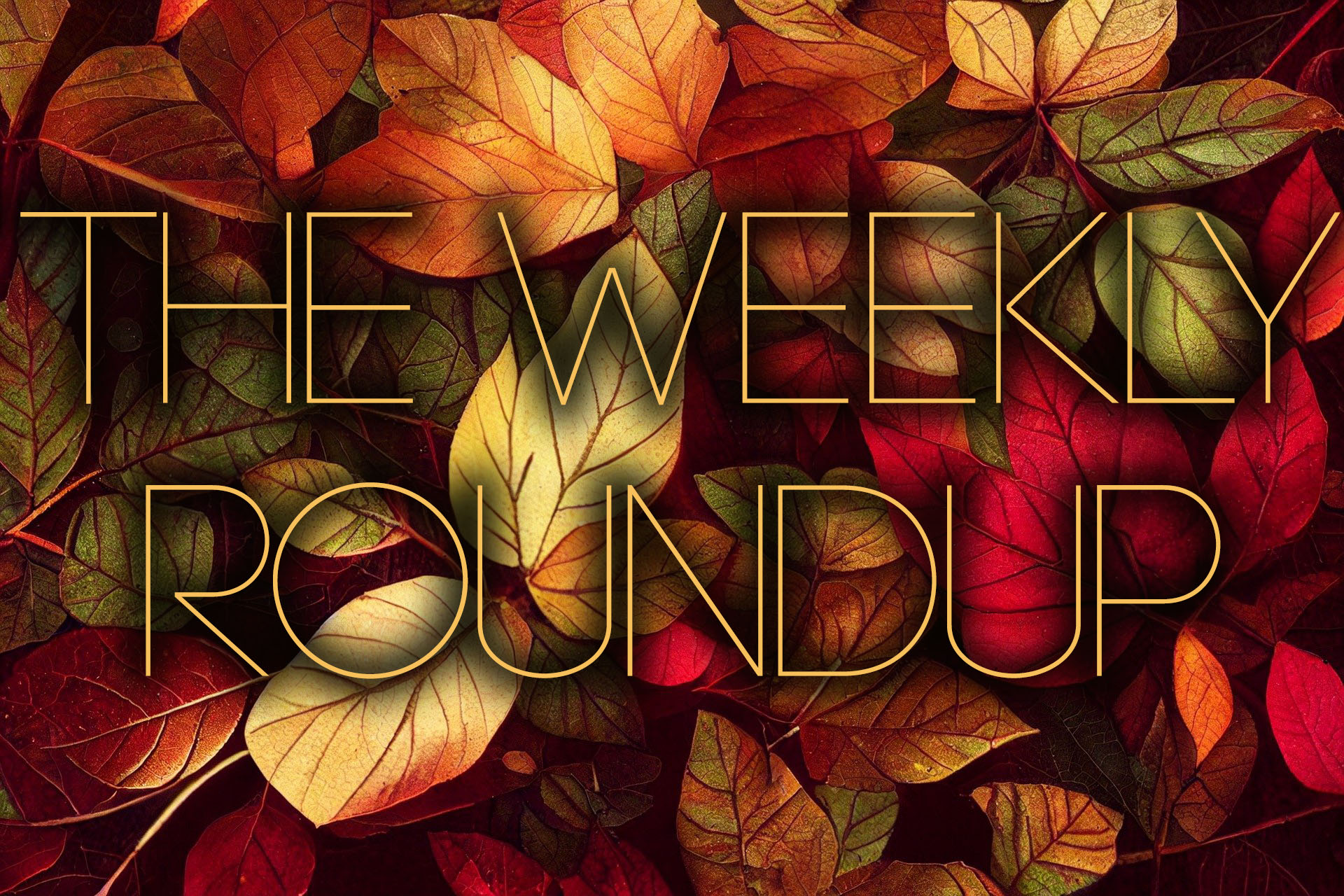 The Weekly Roundup October 10 - 14