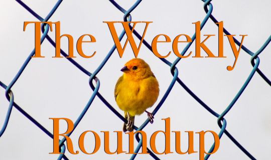The Weekly Roundup: Feb. 6 - 10