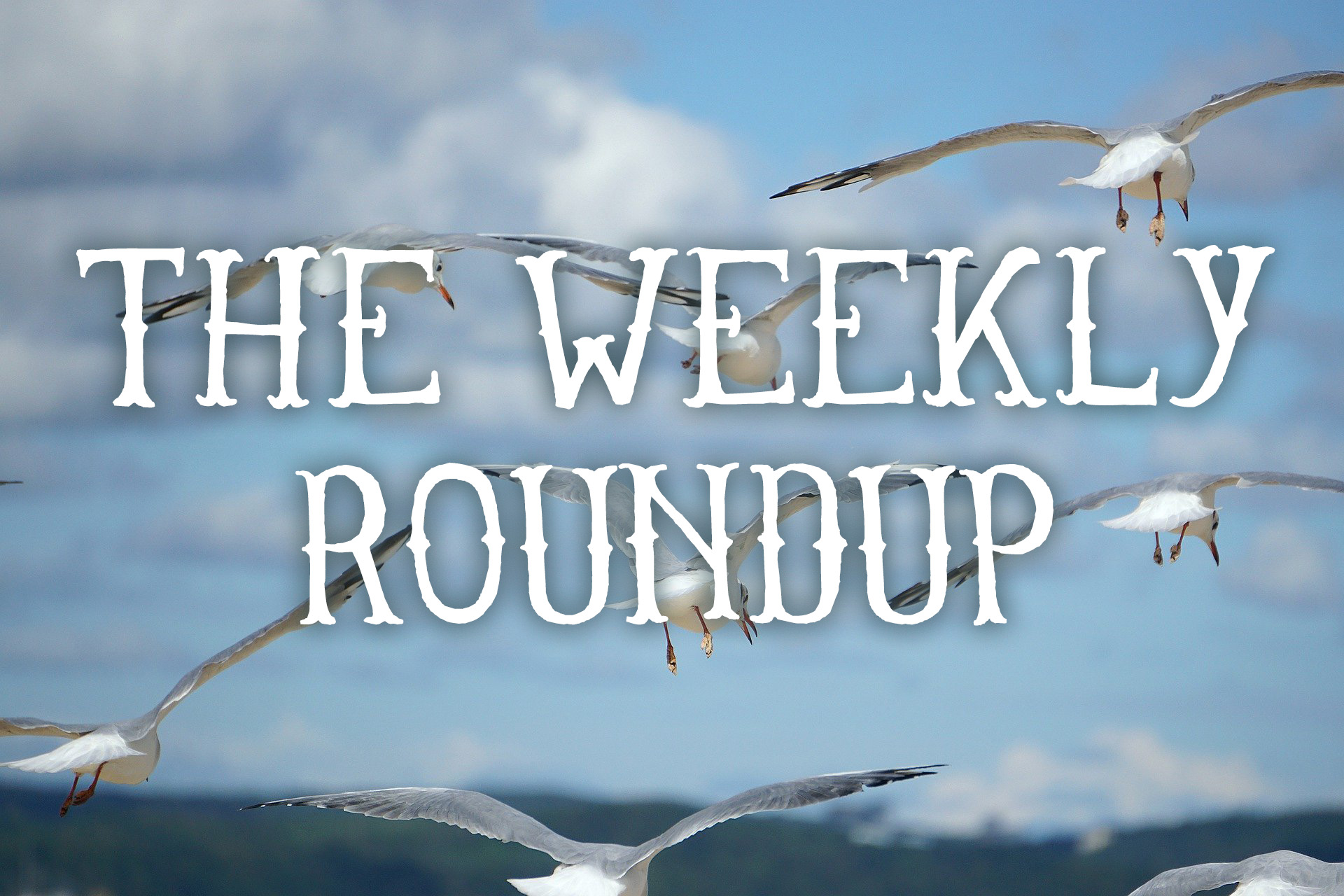 The Weekly Roundup Sept 26 - 30