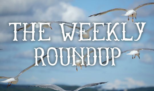 The Weekly Roundup Sept 26 - 30