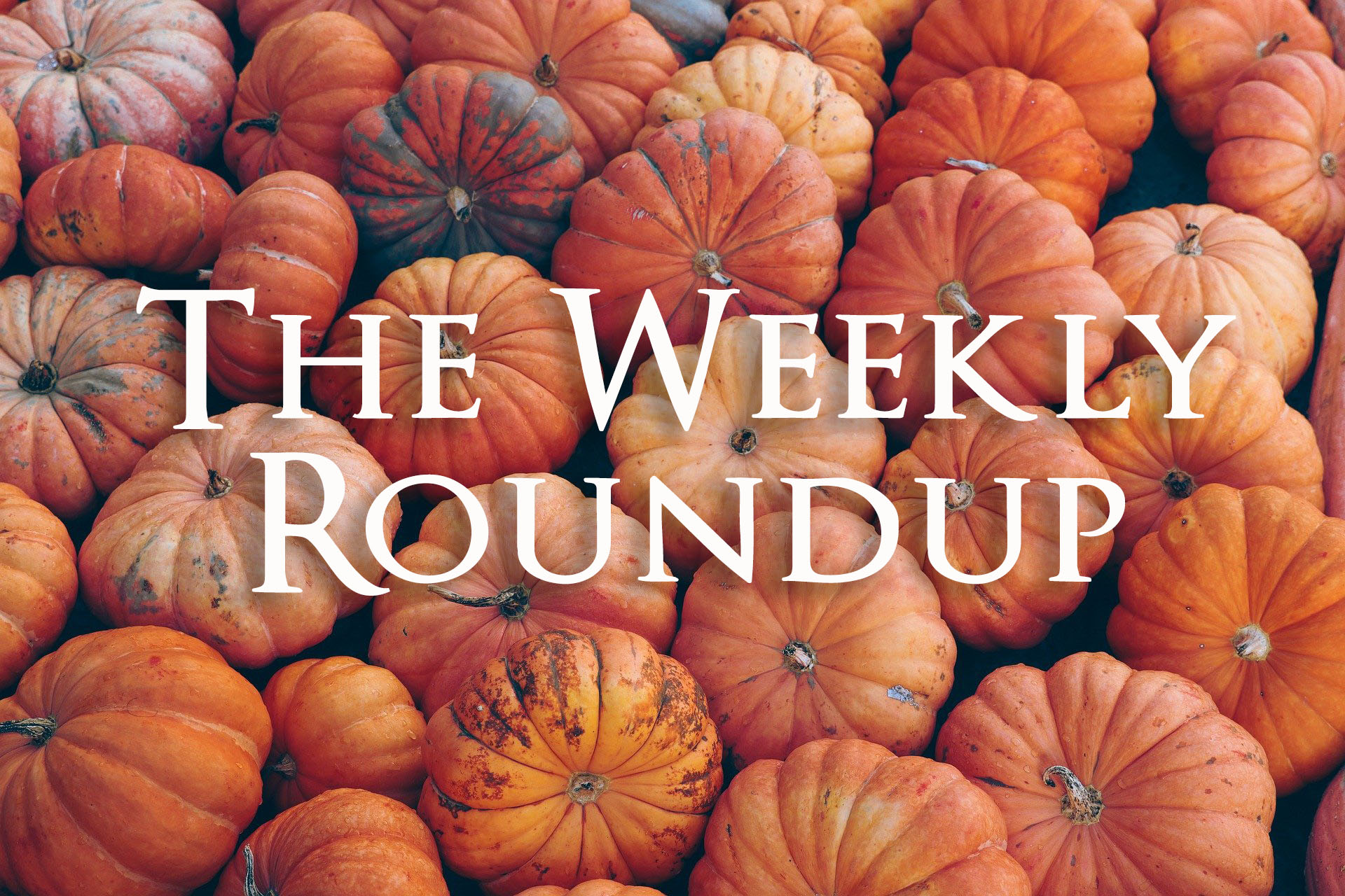 The Weekly Roundup October 17 - 21