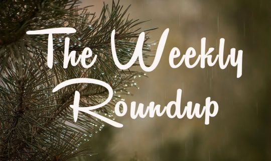 The Weekly Roundup: November 28 - December 2