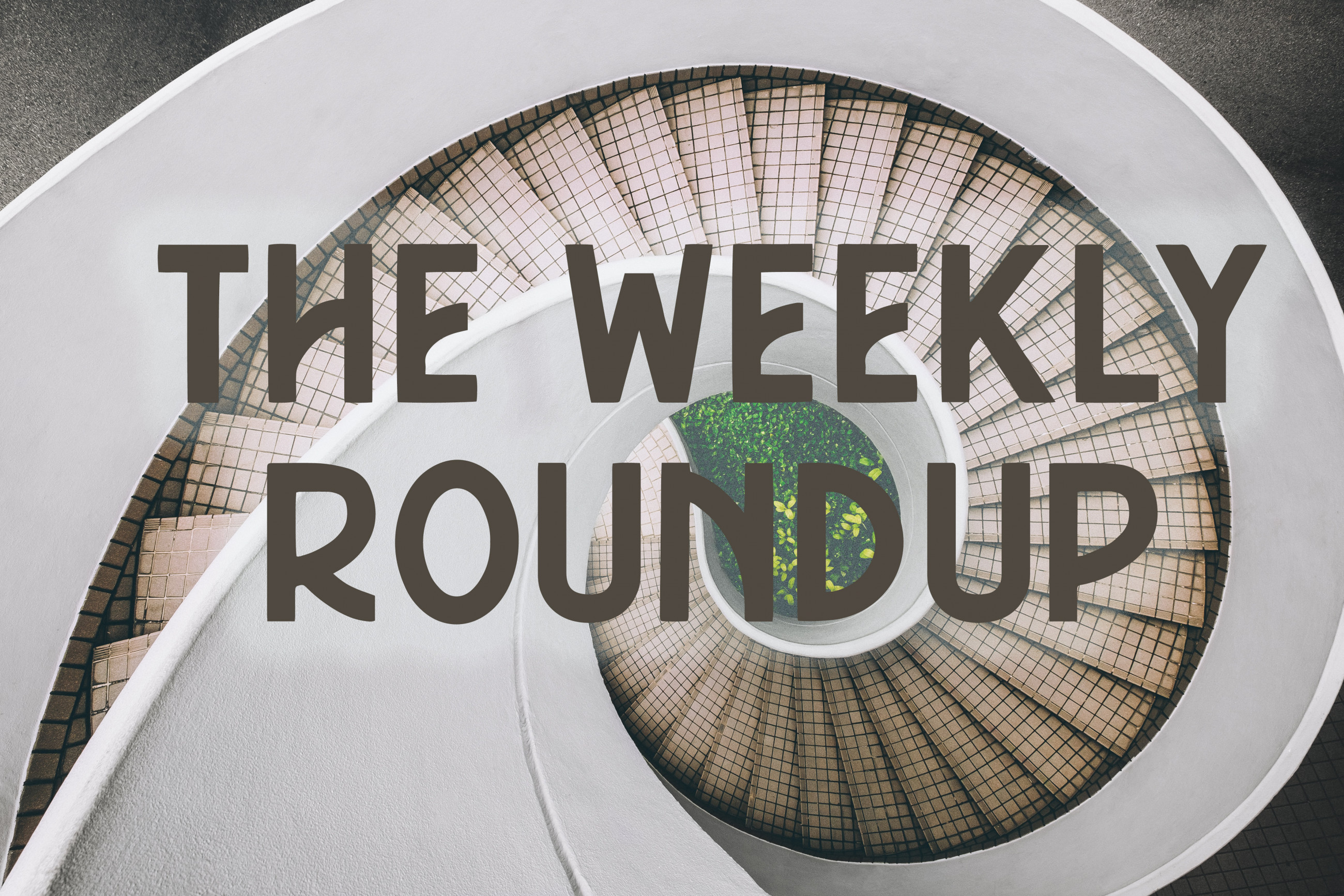 The Weekly Roundup January 24 - 28