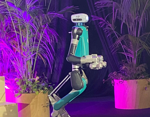  WhatsApp Image 2024 11 19 at 15