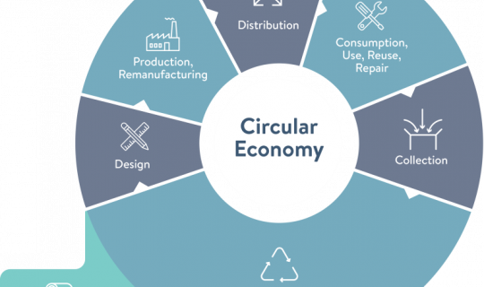 How the Waste Management Issue Can Create Jobs