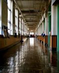 International vs. Private Schools in Portugal