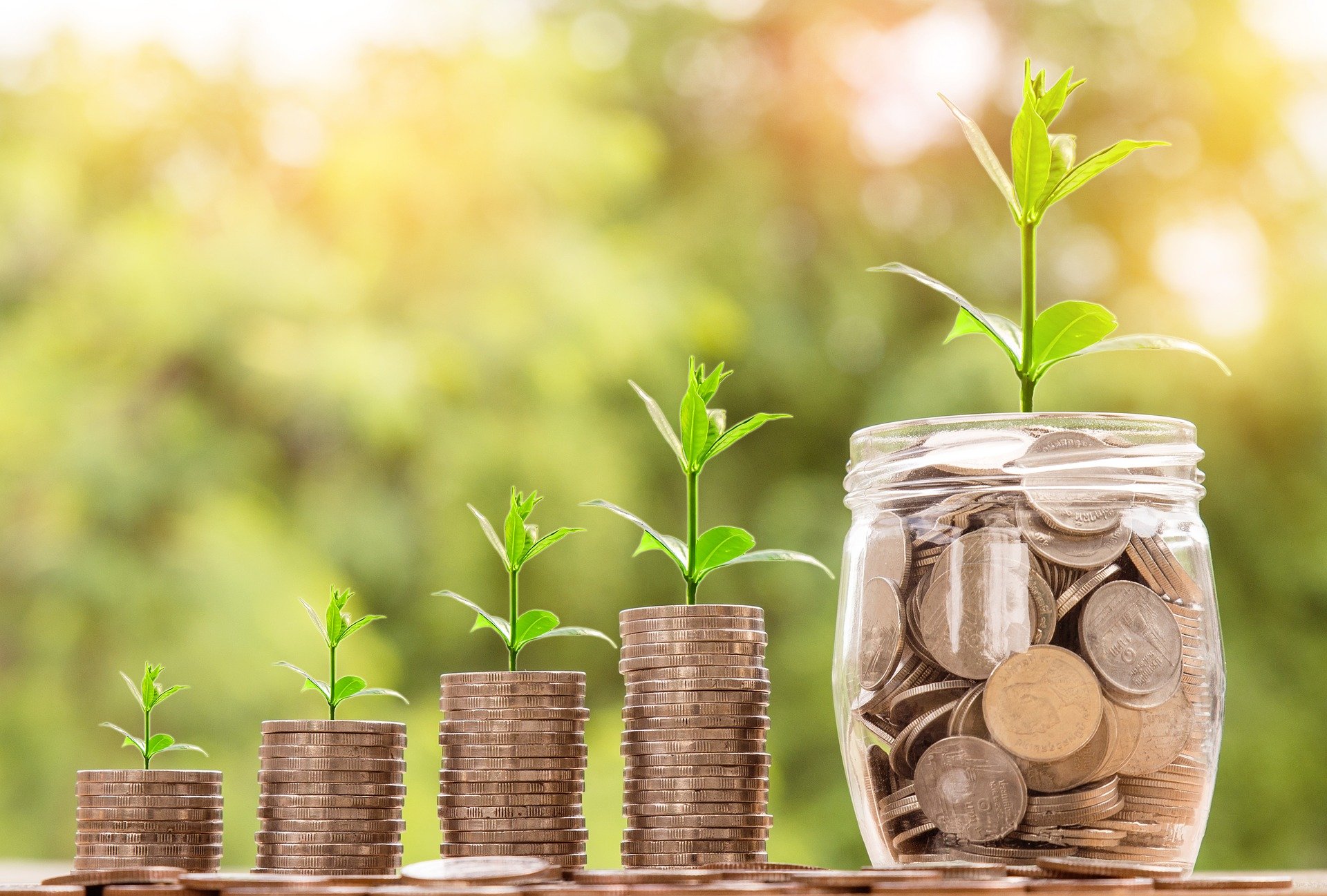 Money and Will: The Must-Haves for Sustainable Investment and Recovery